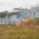  “Quemar la sabana no es una buena práctica agrícola y tiene implicaciones penales”, advierte el Secretario de Agricultura Municipal