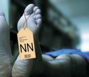 nn