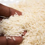  Arauca realizará su primera feria Expo-arroz