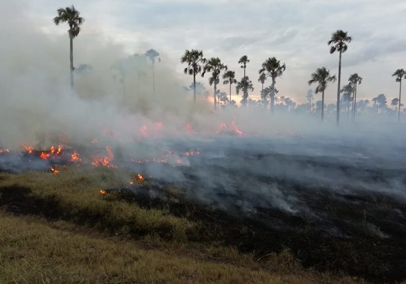  Alerta roja en el departamento de Arauca por riesgo de incendios forestales, según el IDEAM