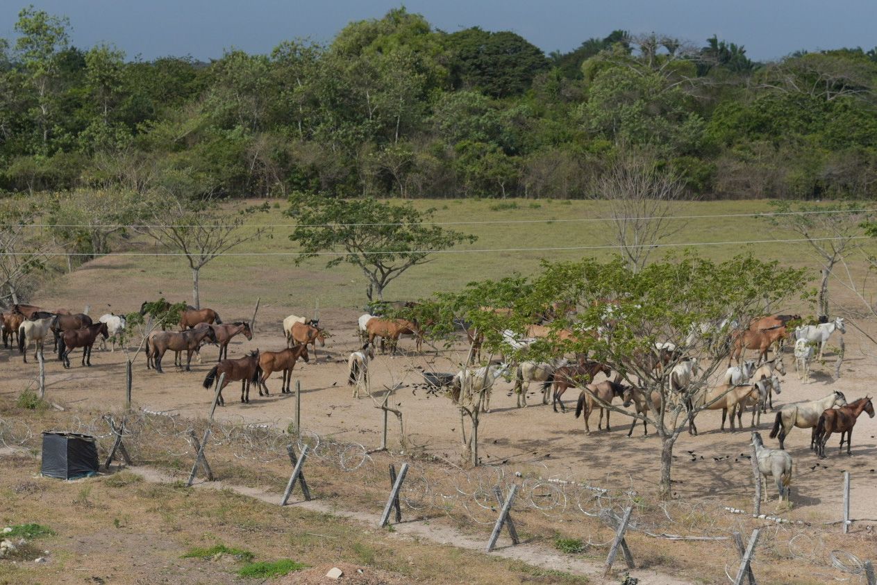 Fortalecen-pelotones-montados-en-el-departamento-de-Arauca