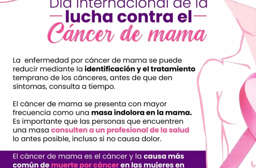  Seguimos en la lucha contra el cáncer de mama